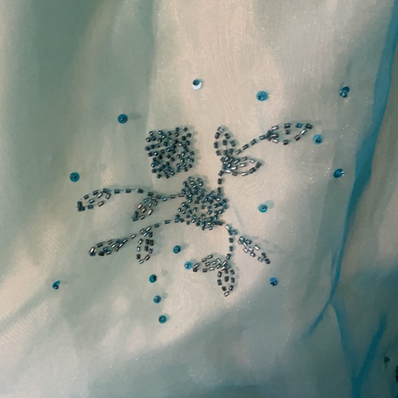 Size 10 Prom or Gala Dress - Picture 13 of 13